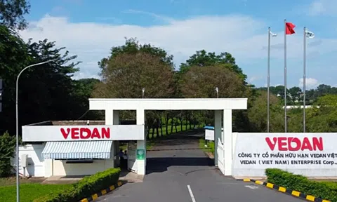 Đại gia mì chính, bột ngọt lớn nhất Đông Nam Á than 'khốc liệt' dù thị trường Việt Nam đem về hơn 4.000 tỷ doanh thu, vượt trội so với Nhật Bản, Trung Quốc, Mỹ